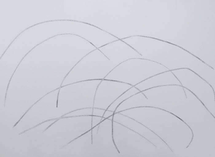 Longitud impermanent
